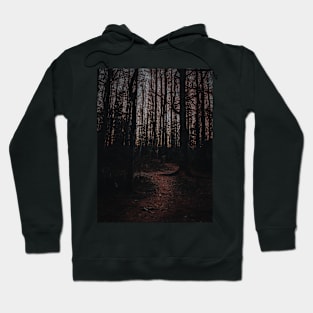 Sinister Forest Path to the Unknowned V3 Hoodie